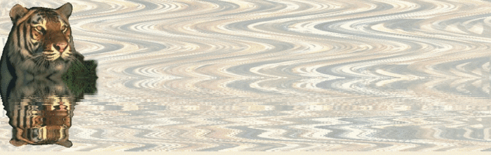  (700x222, 1316Kb)