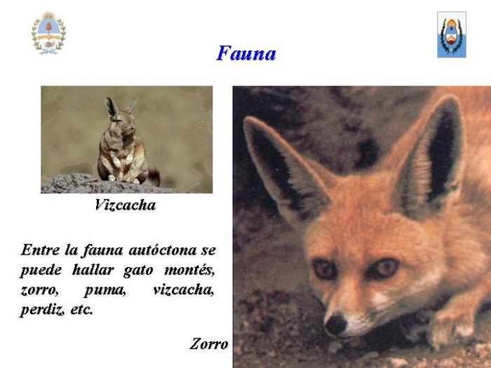  (700x525, 44Kb)