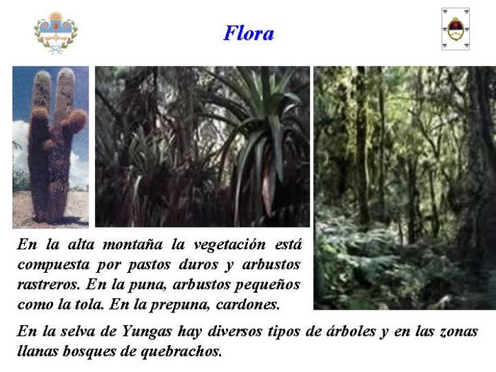  (700x525, 65Kb)