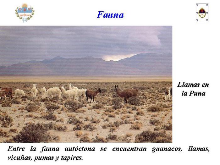  (700x525, 56Kb)