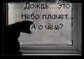  (120x84, 3Kb)