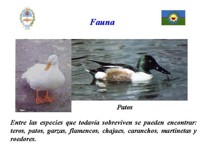  (700x525, 45Kb)