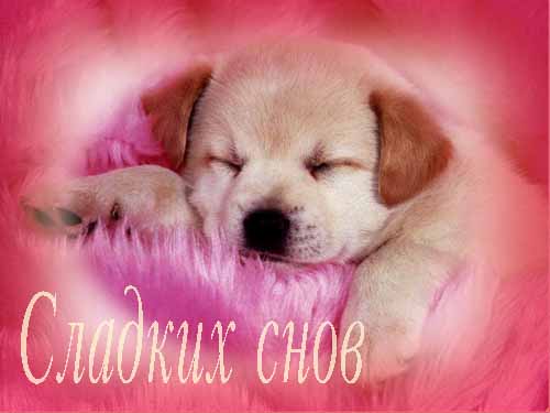  (500x375, 16Kb)