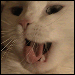  (150x150, 56Kb)