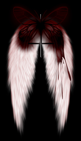  (260x450, 28Kb)