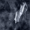  (100x100, 13Kb)