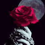  (146x146, 41Kb)