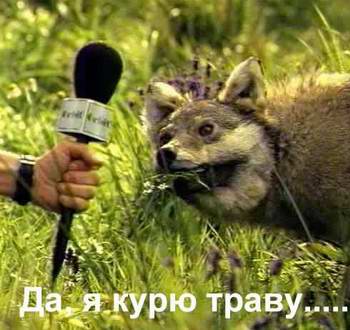  (350x330, 24Kb)