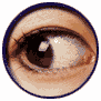  (91x91, 9Kb)
