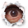  (95x95, 15Kb)