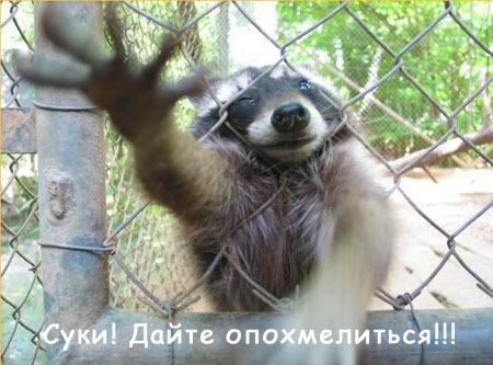  (450x333, 34Kb)
