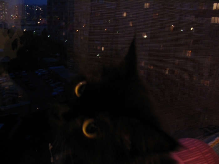  (700x525, 196Kb)