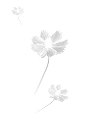  (280x400, 5Kb)