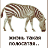  (100x100, 5Kb)