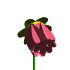  (70x70, 4Kb)