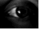  (132x99, 84Kb)