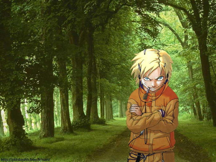  (700x525, 85Kb)