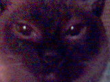  (160x120, 6Kb)