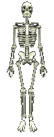  (80x200, 42Kb)