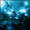  (100x100, 9Kb)