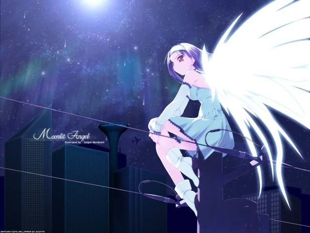  (640x480, 57Kb)