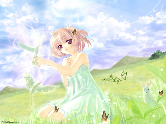  (700x525, 208Kb)