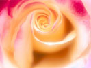  (133x100, 3Kb)
