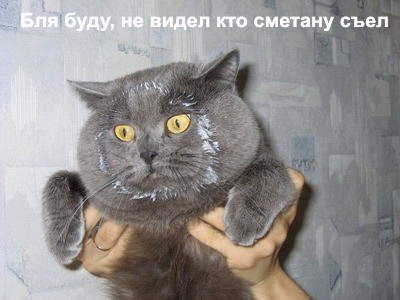  (400x300, 19Kb)
