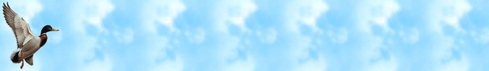  (698x102, 9Kb)