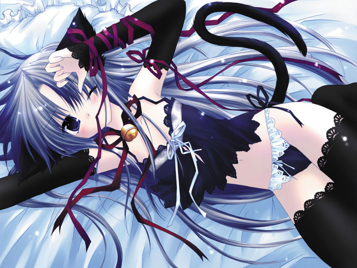  (700x525, 124Kb)