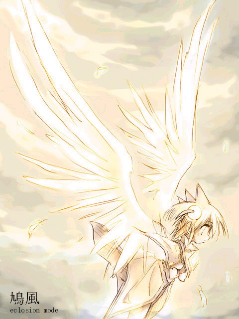 (480x640, 72Kb)