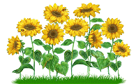  (195x120, 32Kb)