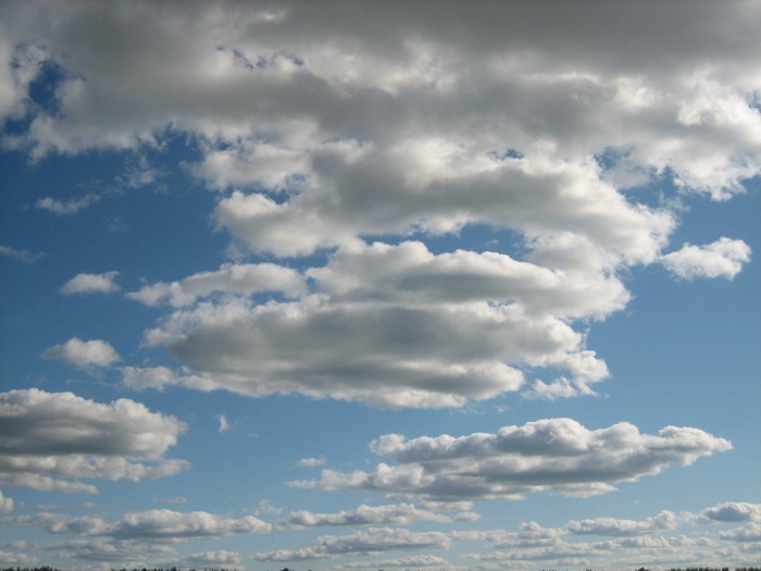  (700x525, 59Kb)