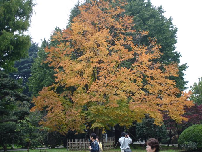  (700x525, 125Kb)