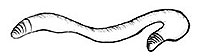  (200x56, 3Kb)