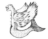  (170x137, 6Kb)