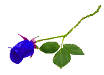  (150x108, 10Kb)