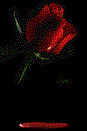  (87x131, 2Kb)