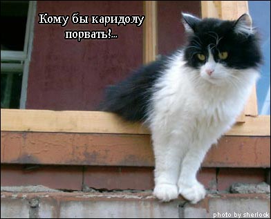  (392x317, 22Kb)