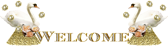  (540x150, 49Kb)
