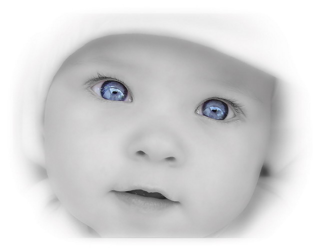  (650x500, 31Kb)