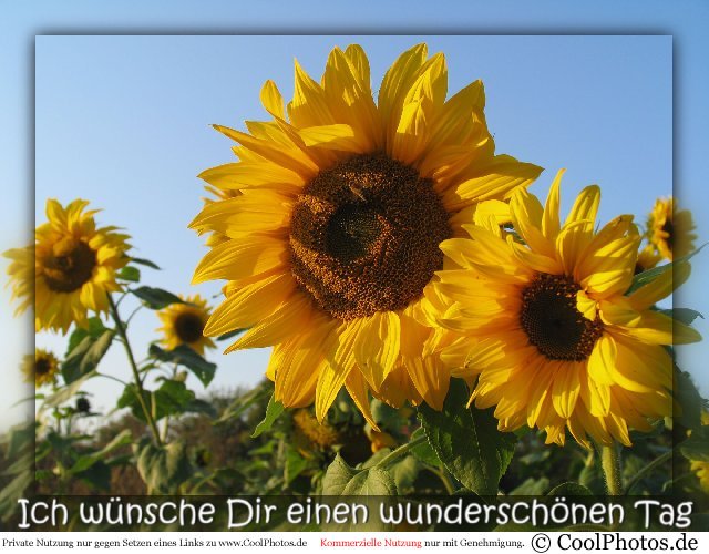  (640x500, 75Kb)