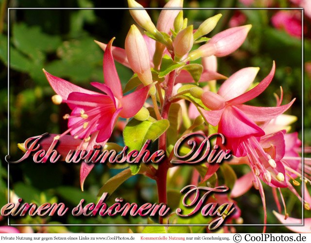  (640x500, 86Kb)