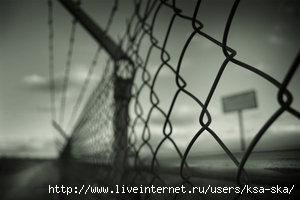  (300x200, 11Kb)