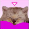  (100x100, 4Kb)