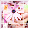  (100x100, 23Kb)