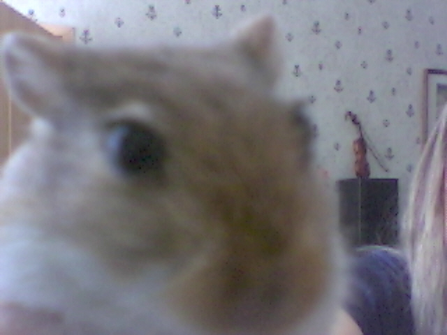  (640x480, 93Kb)