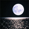  (100x99, 8Kb)