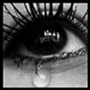  (100x100, 8Kb)
