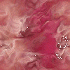  (100x100, 10Kb)